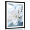 Plakat s paspartujem bel cvet lilije na abstraktnem ozadju - 40x60 black