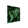 shumee Steklena zaščitna plošča za štedilnik 50x52 Leaf