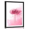 Plakat s paspartujem cvet vrtnice v zanimivi varianti - 60x90 no frame