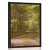 Plakat zeleni gozd - 60x90 black