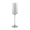 Komplet kozarcev za šampanjec S|P Collection Ray 240 ml 4-pack