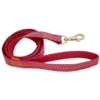 Pet Line Povodac za pse, 25mm, 120cm, Crveni