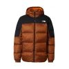 THE NORTH FACE Zunanja jakna Diablo rjasto rjava/črna/bela