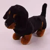 Plišasta figura jazbečarja - 23 cm