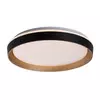 Rabalux Plafonjera Ladan, LED, Sa daljinskim, 48W, 3000-6500K, 50cm, Crna
