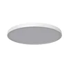 LED plafonjera 36W hladno bela