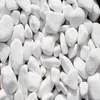 SCHERF Dekorativni kamen Oblutak Thassos, 25-50mm, 25kg, Beli