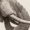 White Elephant - World Elephant Day (LP)