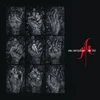 X Mal Deutschland - Gift: The 4AD Years (Box Set) (Reissue) (Transparent Red Coloured) (3 LP)