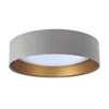 LED plafonsko svetlo SMART GALAXY LED/36W/230V Wi-Fi Tuya sivo/zlatno + daljinski upravljač