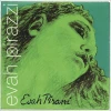 Set strun za violino 4/4 Evah Pirazzi Pirastro