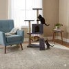 Paws & Whiskers Kućica za mačke, Antracit