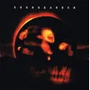 Soundgarden Superunknown (2 LP)