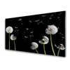 tulup.si Slika na akrilnem steklu Dandelion 120x60 cm 4 obešalnika
