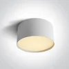 STROPNA SVJETILJKA 20W CCT IP20 BIJELA