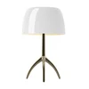 LUMIERE PICCOLA E14 ALUMINIJ/BELI FOSCARINI FN026021EA_11