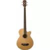 Washburn AB5 Natural