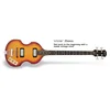 EPIPHONE bas kitara viola VS