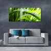 tulup.si Slika na platnu Rastlin trava dew drops 125x50 cm