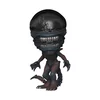 Figurica Aliens Romulus - POP! - Scorched Xenomorph - FK82659