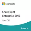 SharePoint Enterprise 2019 User CAL