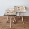 Hanah Home set stolića za kafu 2Shp18, 2 dijela, šareni