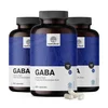 3x GABA 3000 mg, skupaj 960 kapsul
