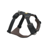 Ruffwear Front Range® Harness oprsnica, Basalt Gray M
