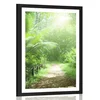 Plakat s paspartujem steza na Sejšelih - 30x45 silver