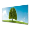 tulup.si Slika na steklu Grass nature tree pljuča 140x70 cm 2 obešalnika