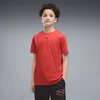 PUMA Essentials Training Heather Tee Youth, Kids, Ultra Red Heather, 7-8Y