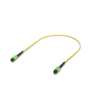 UACC-OFC-SA-MPMP-1M-10
