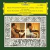 BACH J.S.:VIOLINKONZERT A-MOLL UND E-DUR/IGOR UND DAVID OISTRACH