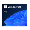 MICROSOFT Windows 11 Pro GGK Eng Intl (4YR-00316)