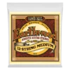 Ernie Ball 2012 Earthwood 12 string Medium