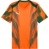 Puma Dres teamFINAL Graphic+