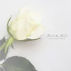 Heart In Hand - A Beautiful White (Limited Edition) (Clear Coloured) (LP)