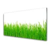 tulup.si Slika na steklu Grass nature rastlin 120x60 cm 4 obešalnika