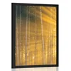 Plakat sonce za drevesi - 40x60 no frame