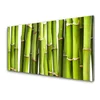 tulup.si Slika na steklu Bamboo rastlin narava 140x70 cm 4 obešalnika