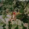 Pale Jay - Low End Love Songs (LP)