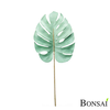 Monstera list Trend 75 cm svetlo zelen - zelena - 50 do 75 cm