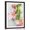 Plakat s paspartujem nežna Zen kompozicija - 30x45 no frame