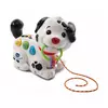 VTECH psiček sprehajalec