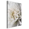 artgeist Slika Na Platnu White Dahlia