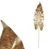 eoshop Alocasia rezilo, zlata barva. UKK360 ZLATO