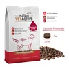 Platinum hrana za pse VetActive Hypoallergenic 1.5kg