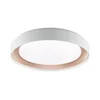 Brilliant - LED prigušiva stropno svetlo WALDO LED/24W/230V bela/ružičasto zlato + daljinski upravljač