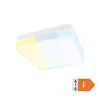 LED plafonjera 36W promenljiva boja svetla LPF-KR/P-36/CCT Prosto