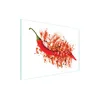 shumee STEKLENA DESKA ZA REZANJE 40x30 CHILLI